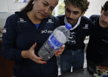 Mais de 93% dos peixes vendidos no litoral do Paraná têm microplástico