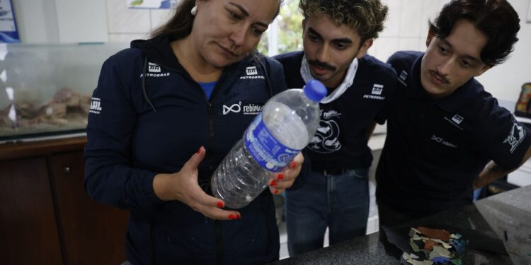 Mais de 93% dos peixes vendidos no litoral do Paraná têm microplástico